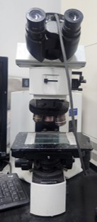 Optical Microscope